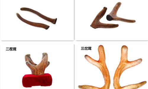风心病会死人吗-风心病人胸闷气短网 :分享风心病人难受-风心病人胸闷气短吃什么药知识