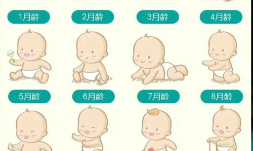 风心病人胸闷气短网 :分享风心病人难受-风心病人胸闷气短吃什么药知识