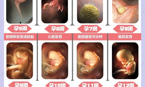 风心病人胸闷气短网 :分享风心病人难受-风心病人胸闷气短吃什么药知识