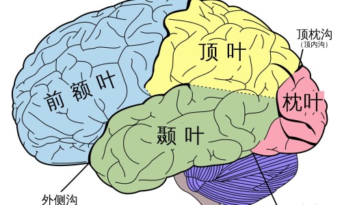 风心病人难受-风心病人胸闷气短网 :分享风心病人难受-风心病人胸闷气短吃什么药知识